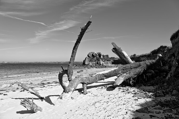 _JNA0026_1_DxO