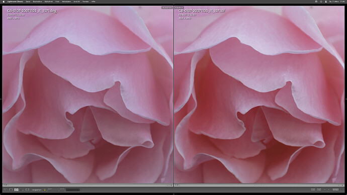 Screen @ 2026-03-07 um 17.36.17