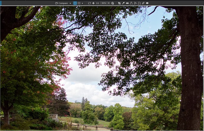 2025-09-10_150456_Options off - 50%