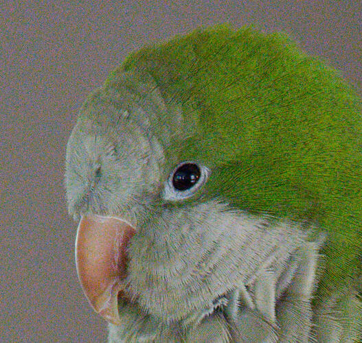 render-DxO Raw with LensSharpness OFF