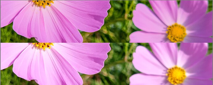 Compare-TIF-from-dng(ACR)-with-jpg