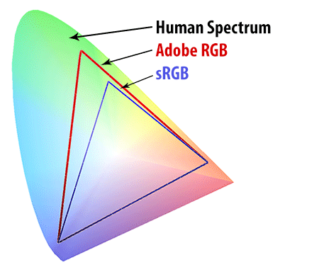 Human-Spectrum-vs-sRGB-vs-Adobe-RGB