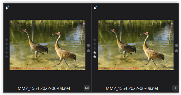 Screen Shot 06-11-22 at 10.39 AM