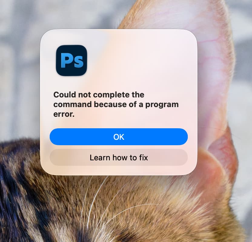 Screenshot 2025-11-23 at 6.06.02 AM