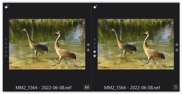 Screen Shot 06-11-22 at 10.39 AM 001