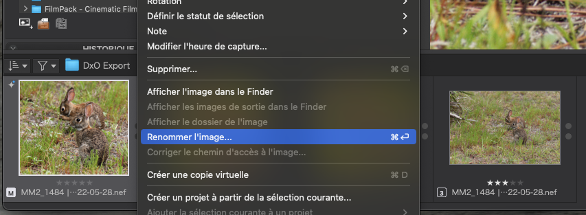 How to create photos like "the masters", and is PhotoLab a useful tool ...