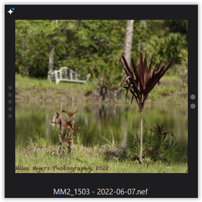 Screen Shot 06-11-22 at 03.24 PM