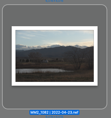 Screen Shot 2022-05-03 at 07.41.17